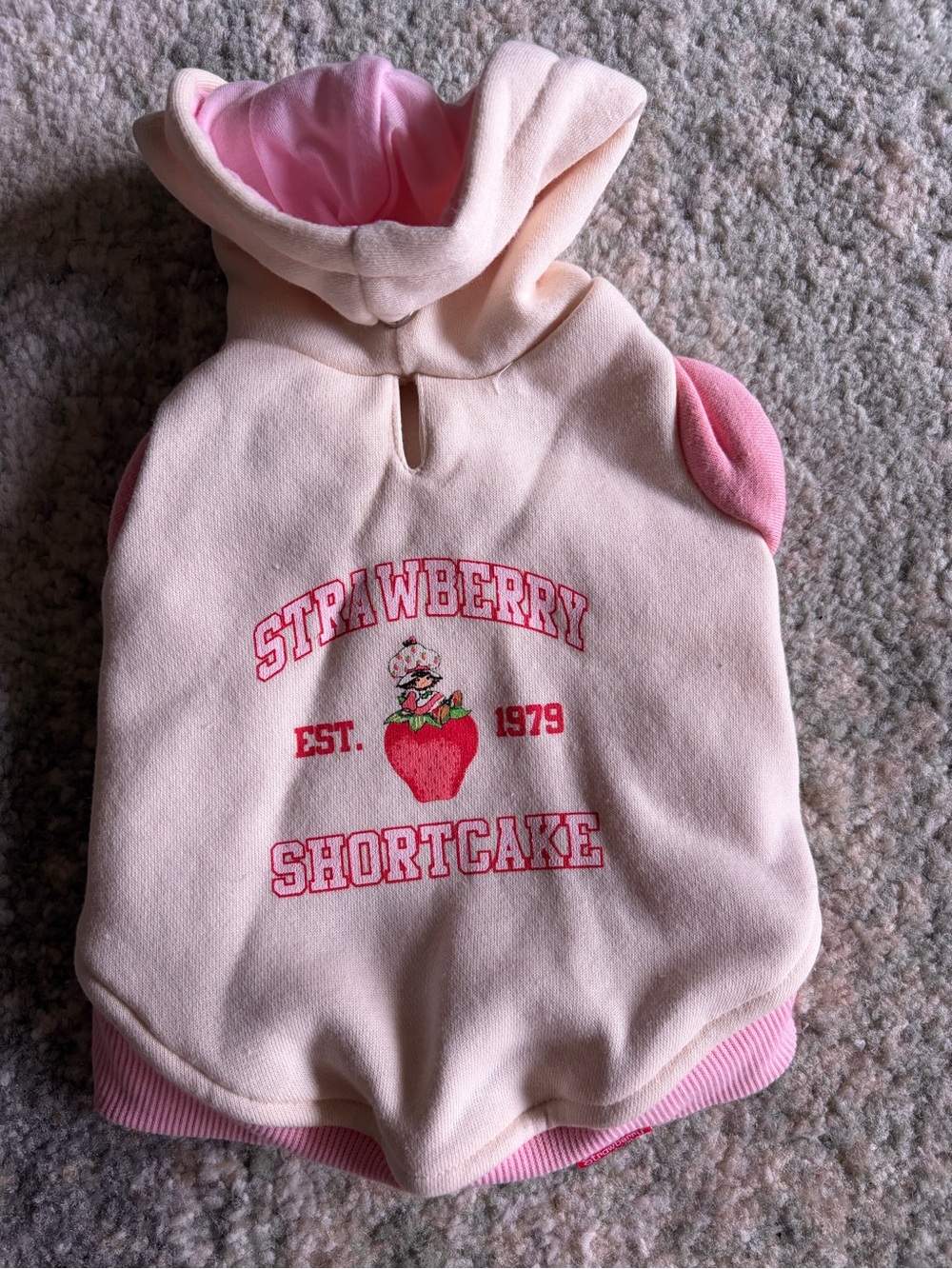 XS Dog or puppy Strawberry Shortcake Pink Hooded Pullover